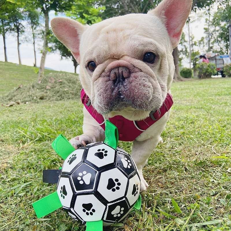 💙🔥 The New Fun Doggo Ball - Best Interactive Dog Toy (Free Shipping)