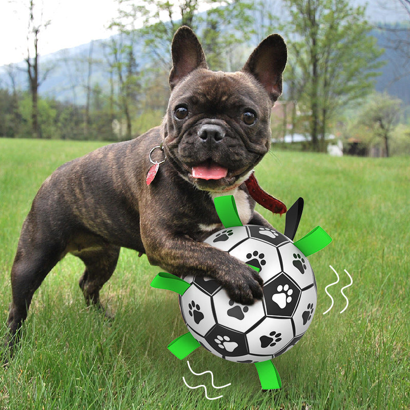 💙🔥 The New Fun Doggo Ball - Best Interactive Dog Toy (Free Shipping)