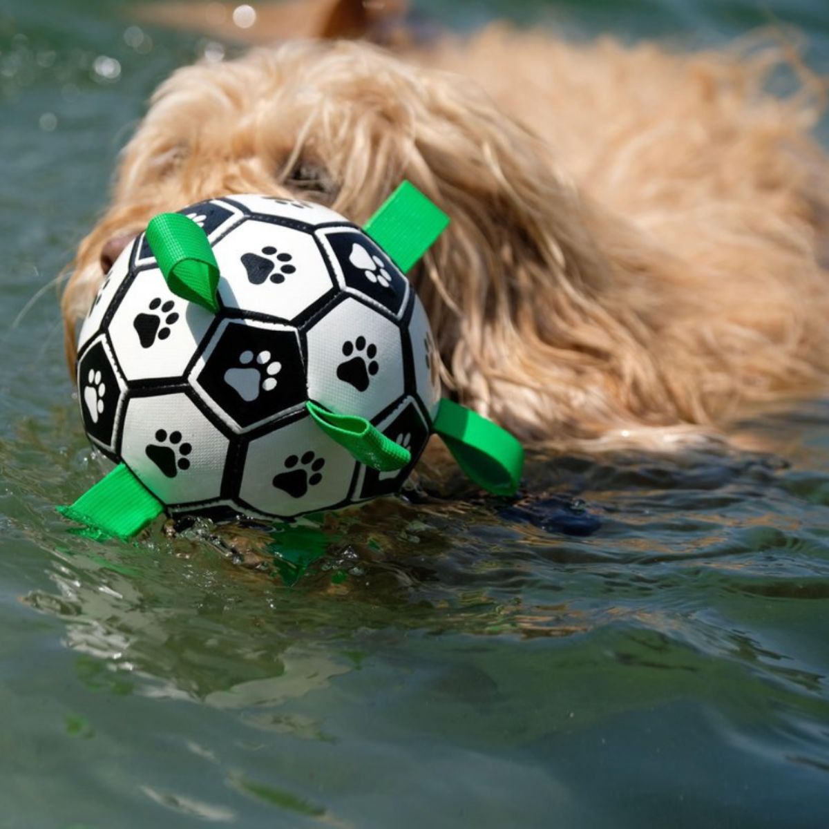 💙🔥 The New Fun Doggo Ball - Best Interactive Dog Toy (Free Shipping)